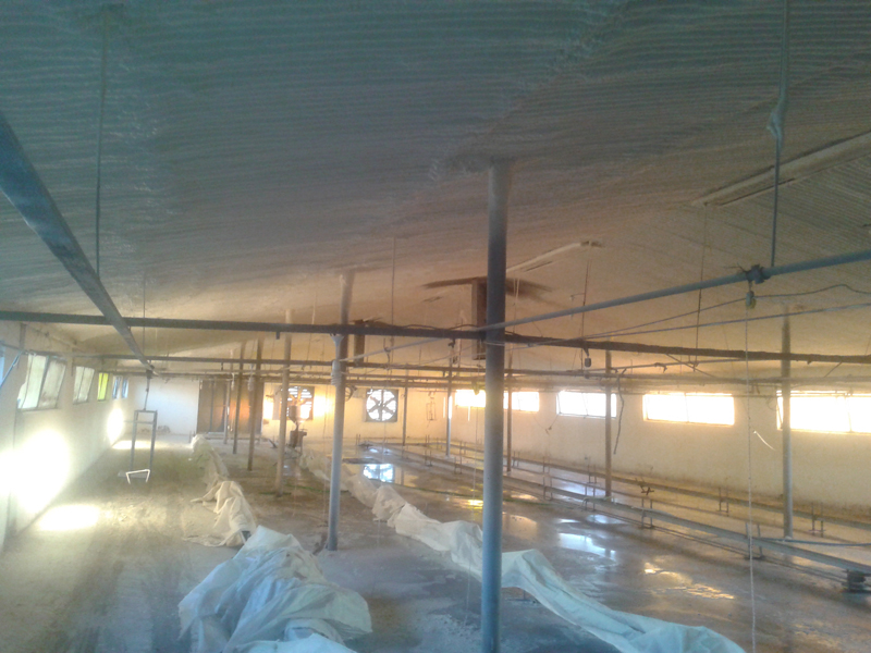 Hayvan Çiftliği İzolasyonu